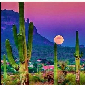 Meet your Posher, Naia